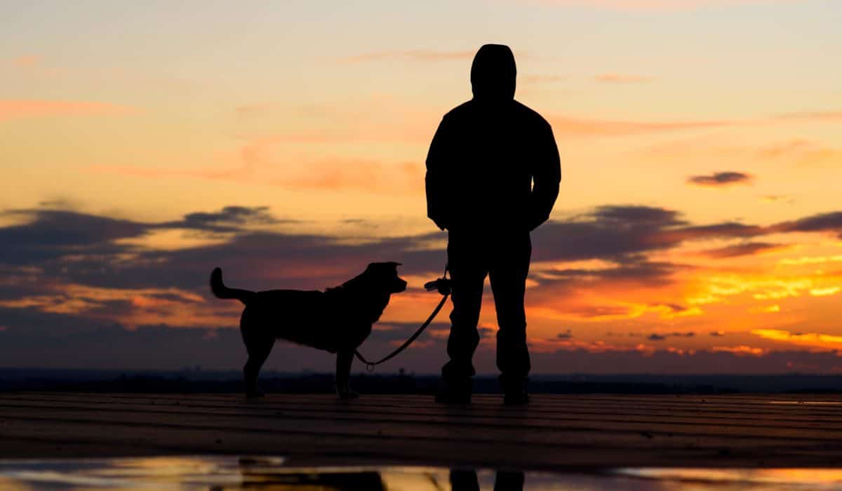 Veterans mental health programs in Nashville TN