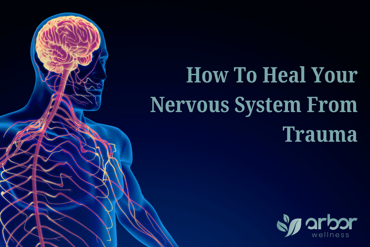 You are currently viewing How To Heal Your Nervous System From Trauma