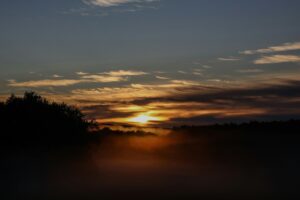 PTSD Awareness Month: What Trauma Really Does, and What Recovery Looks Like in Nashville