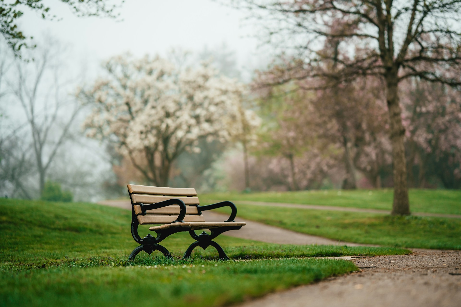 You are currently viewing When Grief Stops Moving: How Clinicians Tell Bereavement From Prolonged Grief Disorder